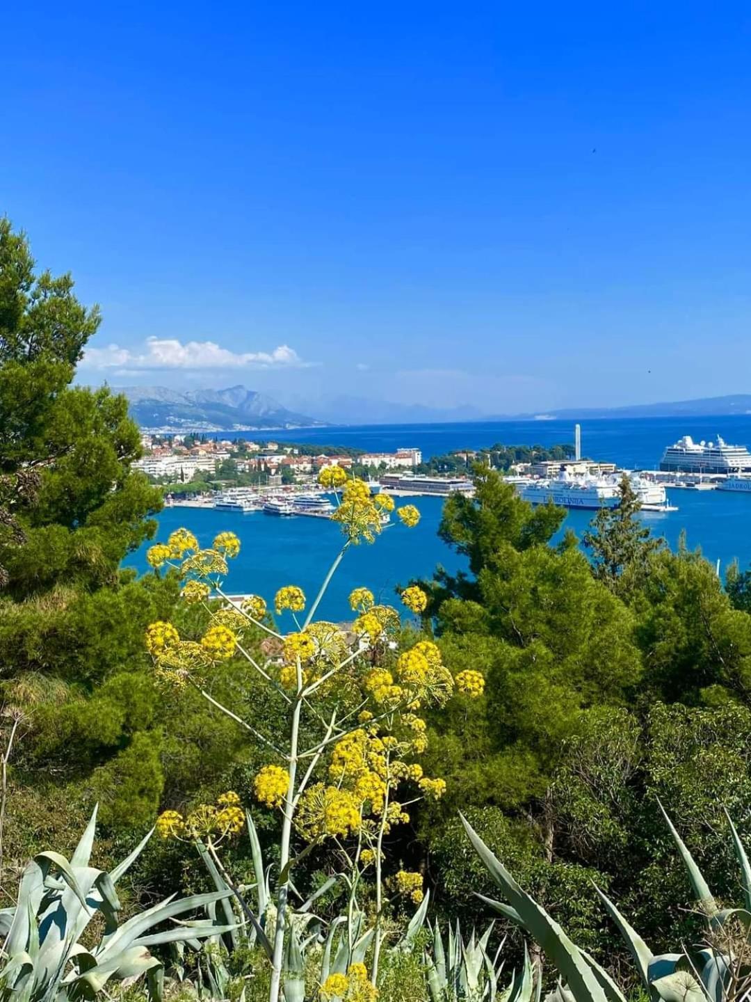 Beach Split Apartments Экстерьер фото